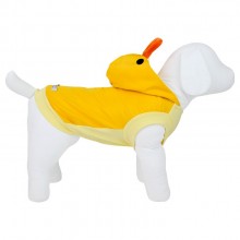 regata para pet